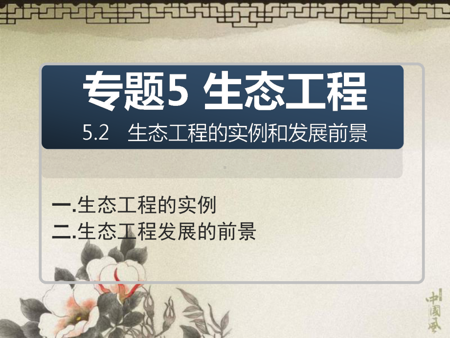 生态工程的实例和发展前景介绍(课件).ppt_第3页