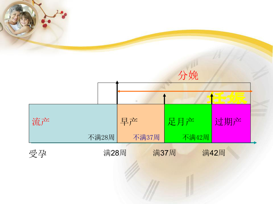 正常分娩第一节课件.ppt_第3页