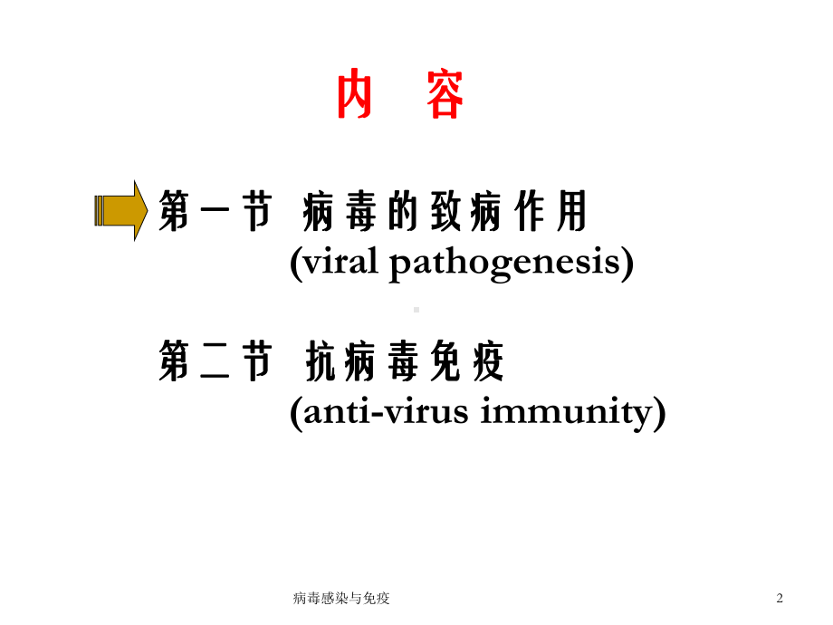 病毒感染与免疫课件.ppt_第2页