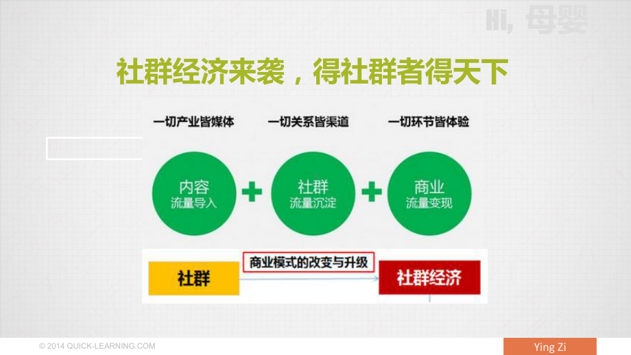 母婴专业社群项目(宝村)课件.ppt_第2页