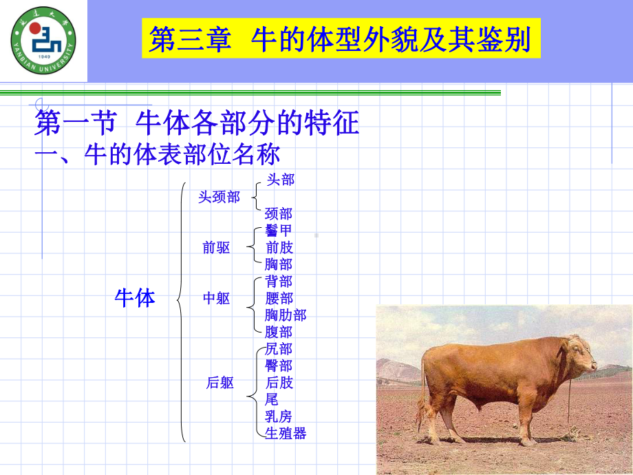 牛生产学培训课件.pptx_第2页