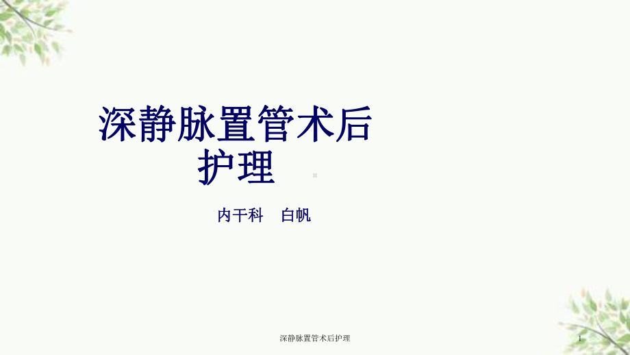 深静脉置管术后护理课件.ppt_第1页