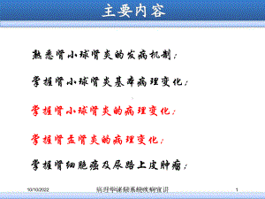 病理学泌尿系统疾病宣讲培训课件.ppt