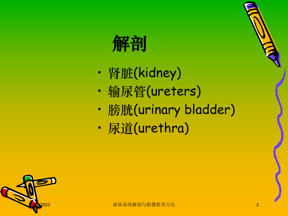 泌尿系统解剖与影像检查方法培训课件.ppt_第2页