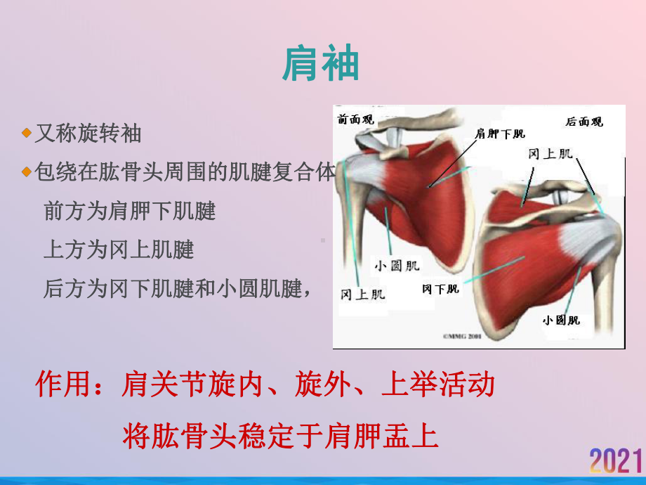 浅述肩痛疾病诊断治疗课件.ppt_第3页