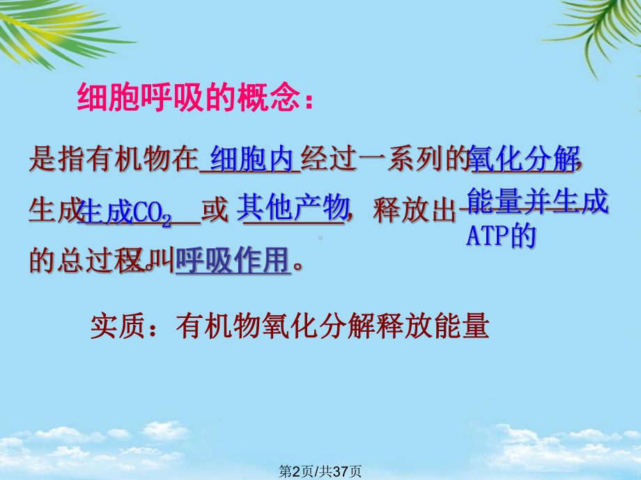 生物ATP的主要来源-细胞呼吸新人教版必修全面版课件.pptx_第2页