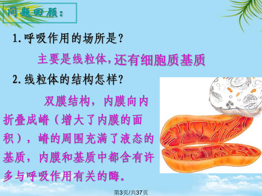 生物ATP的主要来源-细胞呼吸新人教版必修全面版课件.pptx_第3页