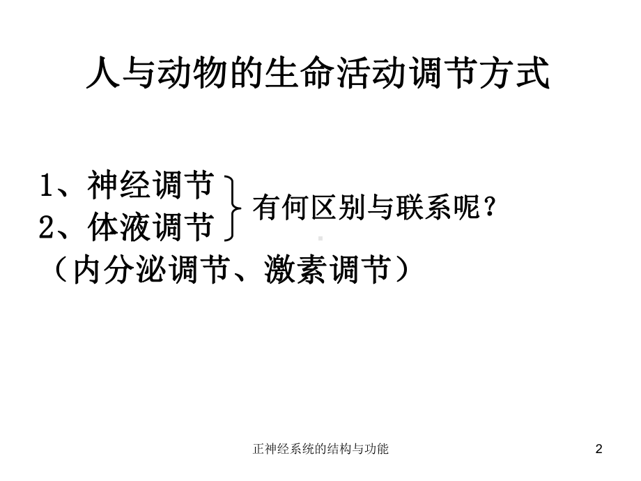 正神经系统的结构与功能课件.ppt_第2页