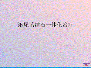 泌尿系结石一体化治疗课件.ppt