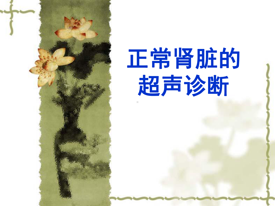 正常肾脏的超声诊断教材课件.ppt_第1页