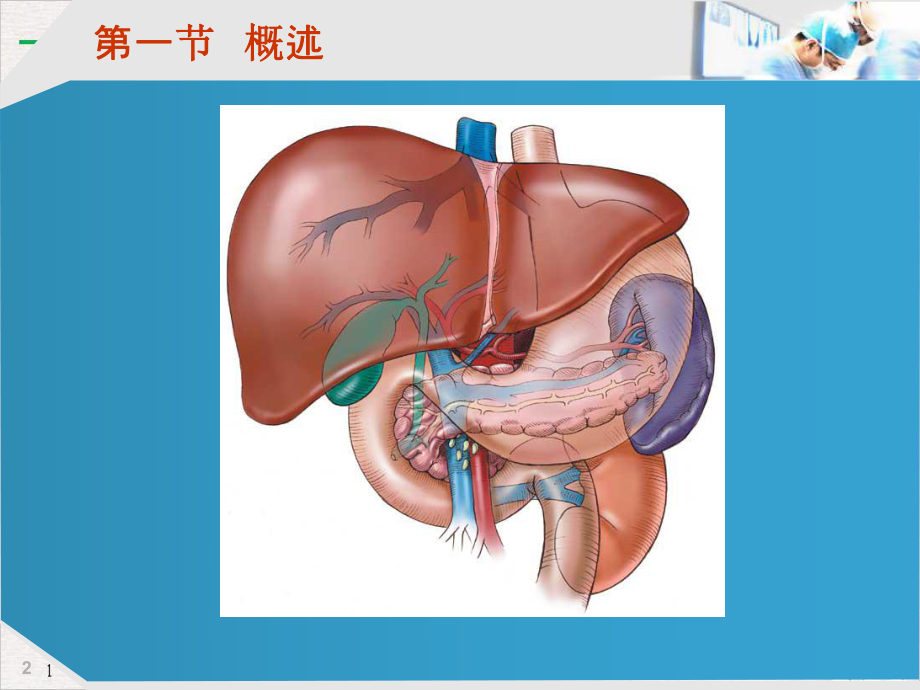 病理生理学篇肝功能不全标准课件.pptx_第2页