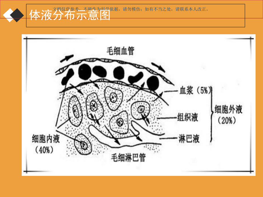 水电解质紊乱和护理课件.ppt_第2页