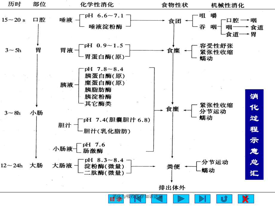 消化与吸收医学知识讲座培训课件.ppt_第3页