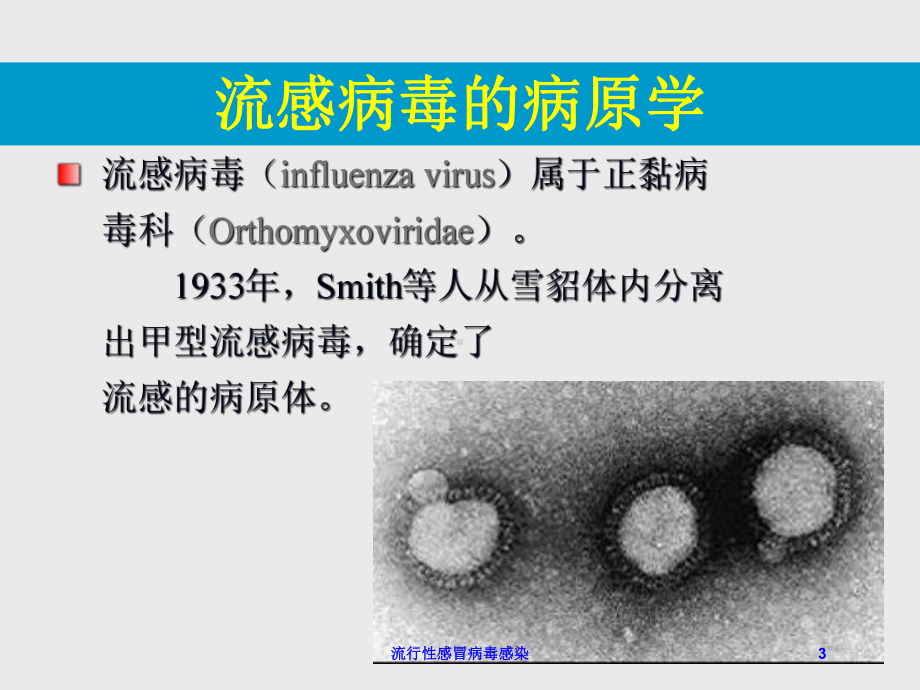 流行性感冒病毒感染培训课件.ppt_第3页