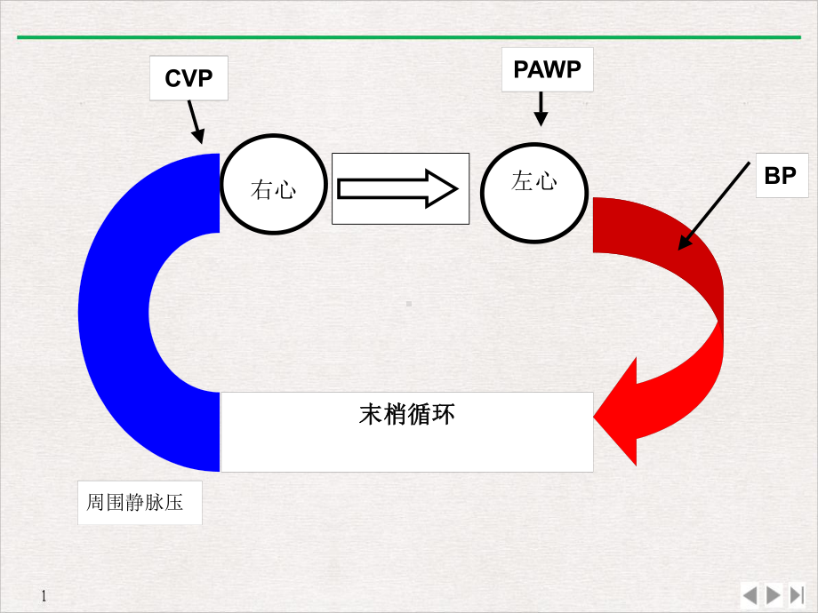 瓣膜瓣膜术后的监护与治疗学习班讲义课件.pptx_第3页