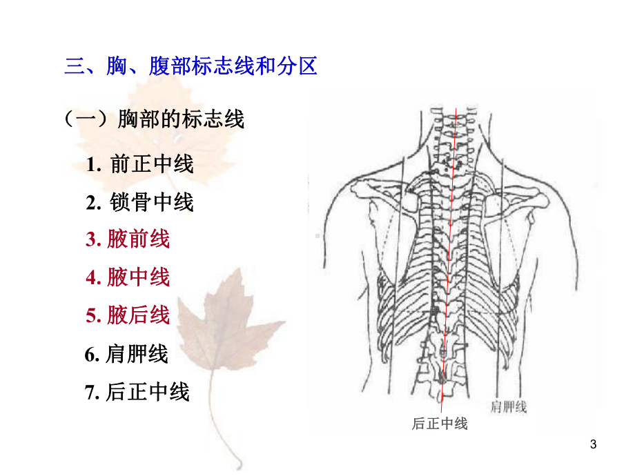 消化系统宣讲主题讲座课件.ppt_第3页