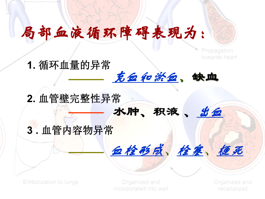 病理学第八版局部血液循环障碍课件.ppt_第3页