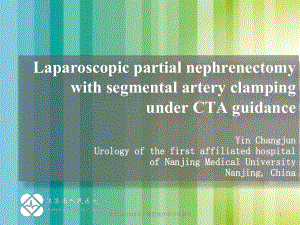 殷长军CTA指导下腹腔镜肾部分切除术课件.ppt