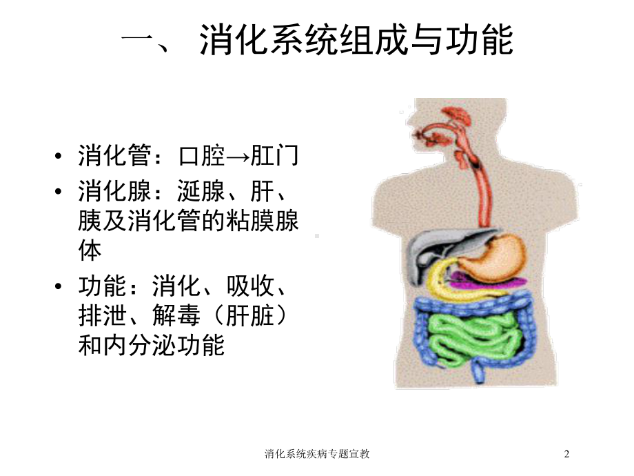 消化系统疾病专题宣教培训课件.ppt_第2页