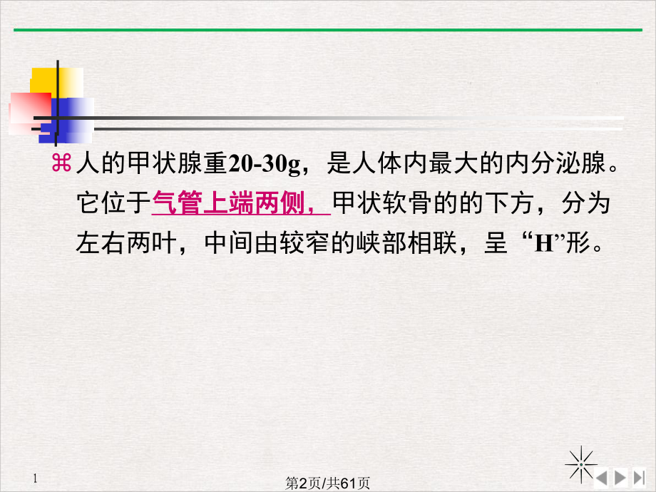 甲状腺激素及抗甲状腺药标准课件.pptx_第1页