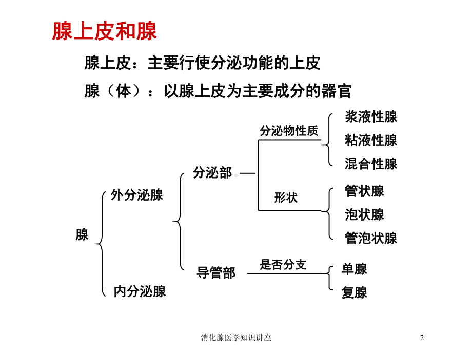 消化腺医学知识讲座培训课件.ppt_第2页