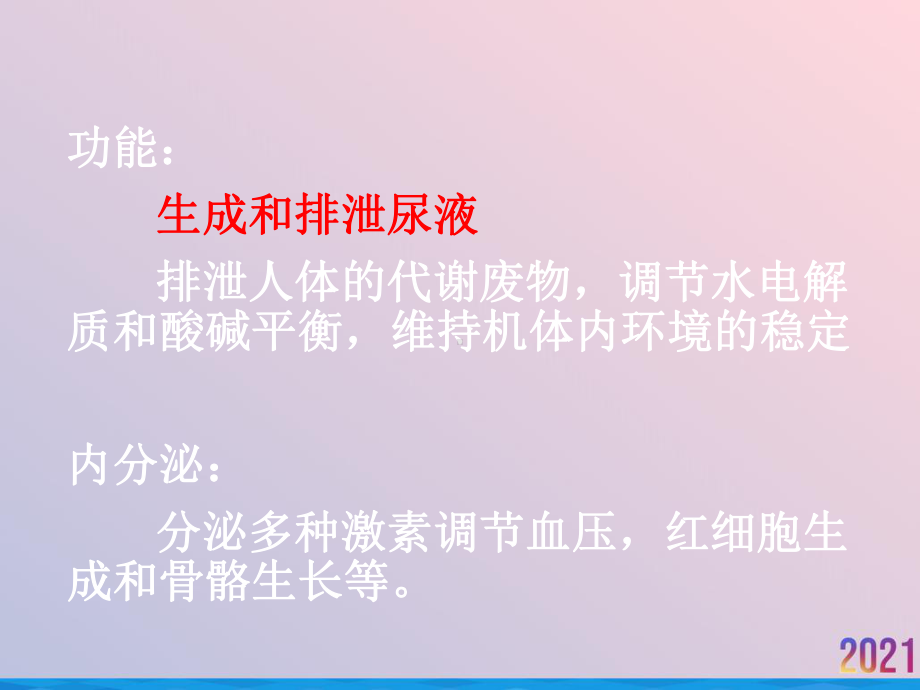 泌尿系统概述及常见症状体征课件.ppt_第3页