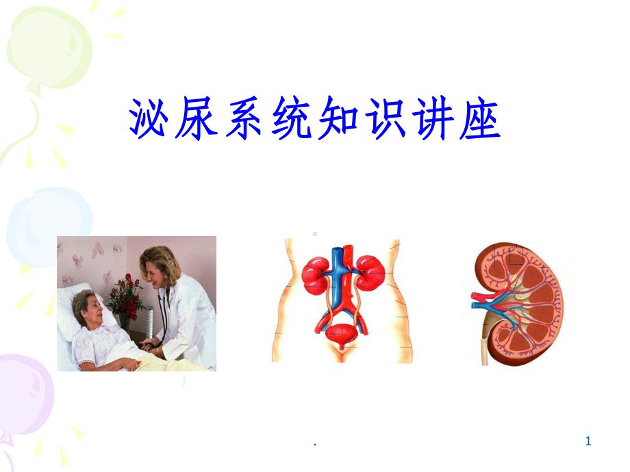 泌尿系科普知识讲座课件-2.ppt_第1页