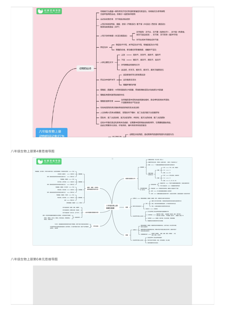 八年级生物上册思维导图人教版初二生物知识整理.pdf_第2页