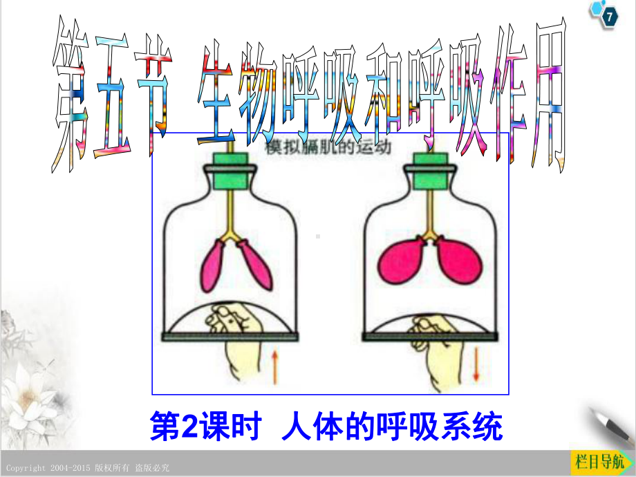 浙教版八级下册科学课件生物的呼吸和呼吸作用1.ppt_第1页