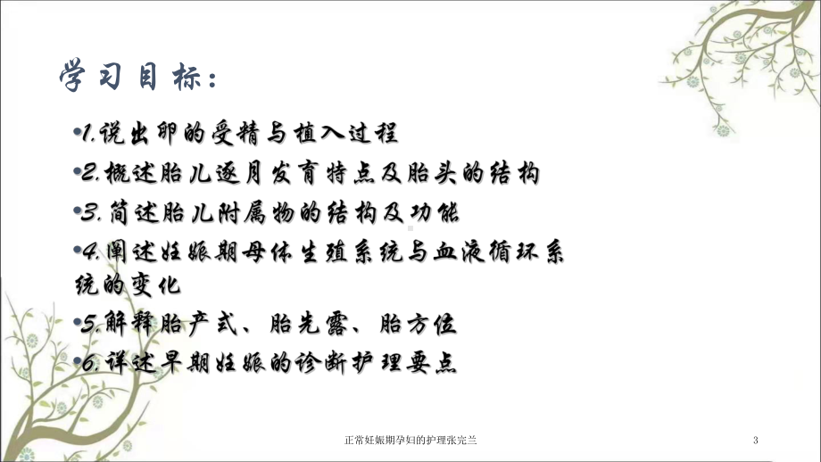 正常妊娠期孕妇的护理-课件.ppt_第3页