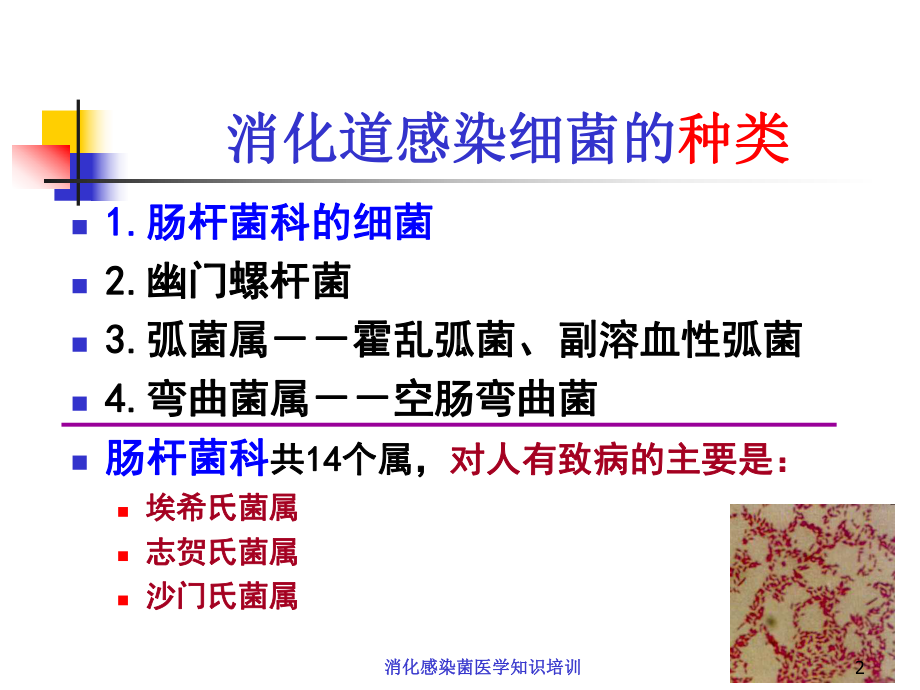 消化感染菌医学知识培训培训课件.ppt_第2页