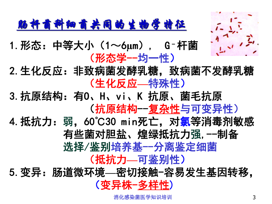 消化感染菌医学知识培训培训课件.ppt_第3页