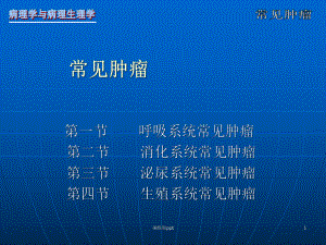 病理学-肿瘤医学课件.ppt