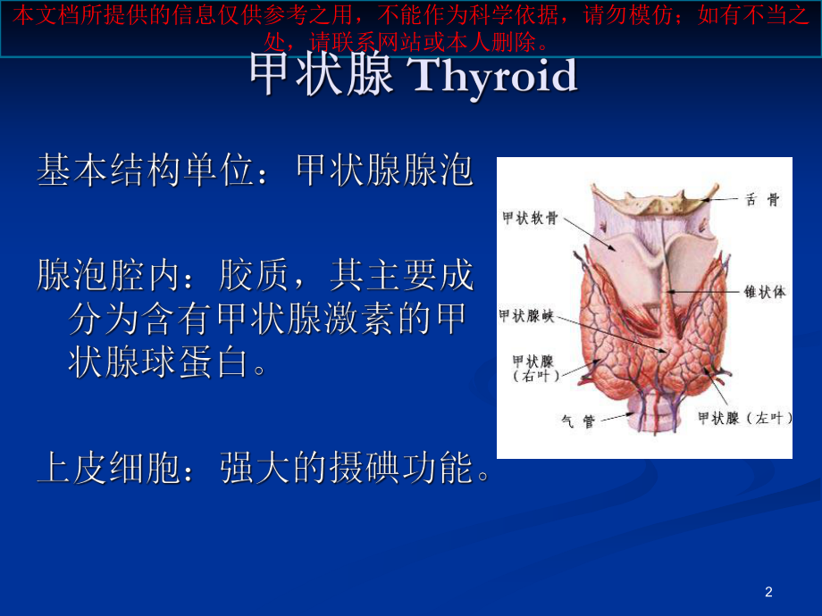 甲状腺激素和抗甲状腺药培训课件.ppt_第2页