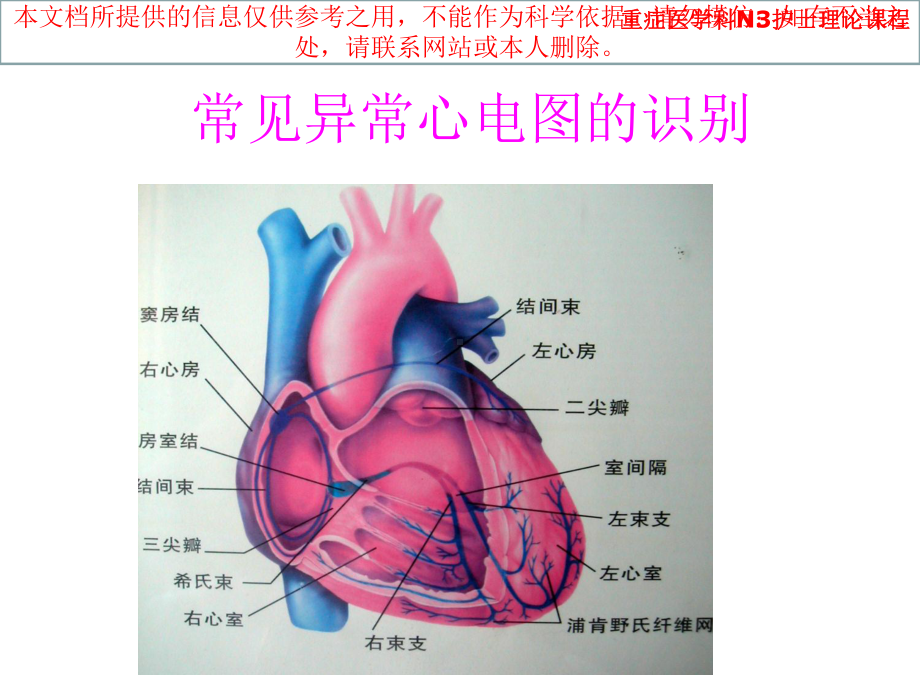 正常心电图和常见异常心电图的识别和处置培训课件.ppt_第1页