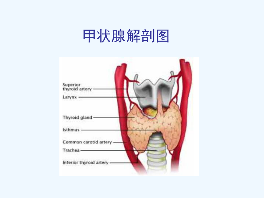 甲亢特殊表现及处理课件.ppt_第3页