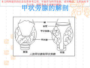 甲状旁腺功能减退精美讲解培训课件.ppt