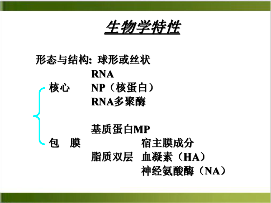 病原生物与免疫学常见病毒培训课程课件.ppt_第3页