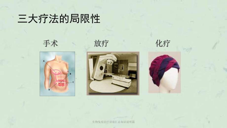 生物免疫治疗讲座汇总知识说明篇课件.ppt_第2页