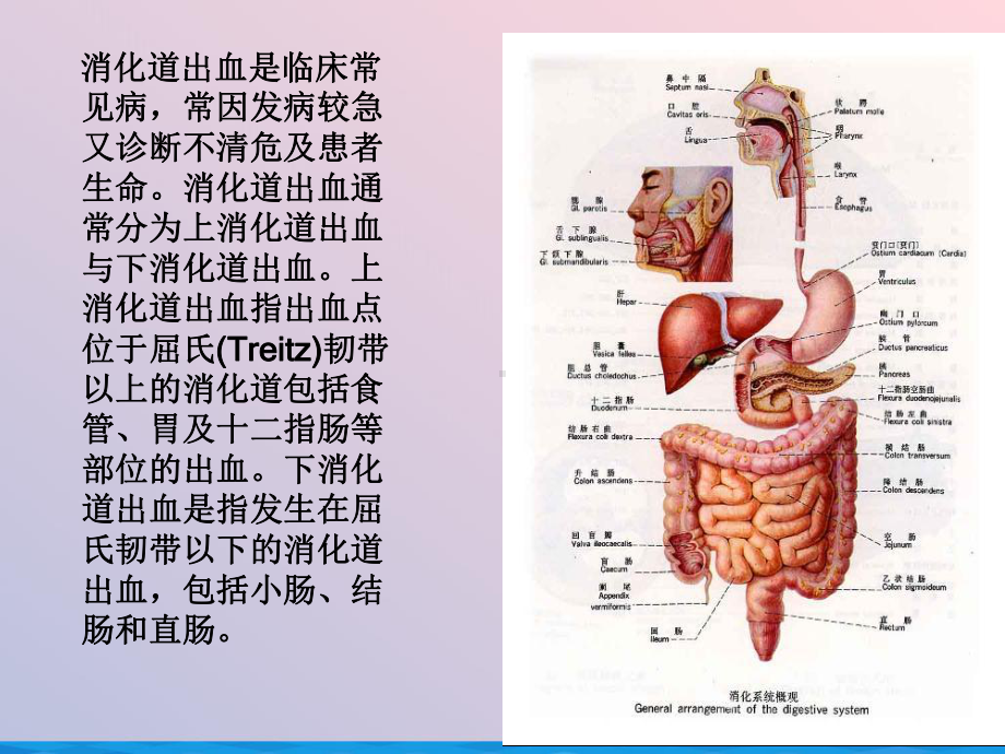 消化道出血课件-2.ppt_第3页