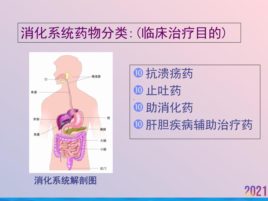 消化系统药物治疗策略课件.ppt_第2页