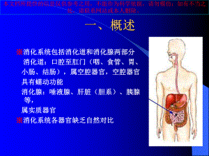 消化系统影像学表现详细全面培训课件.ppt