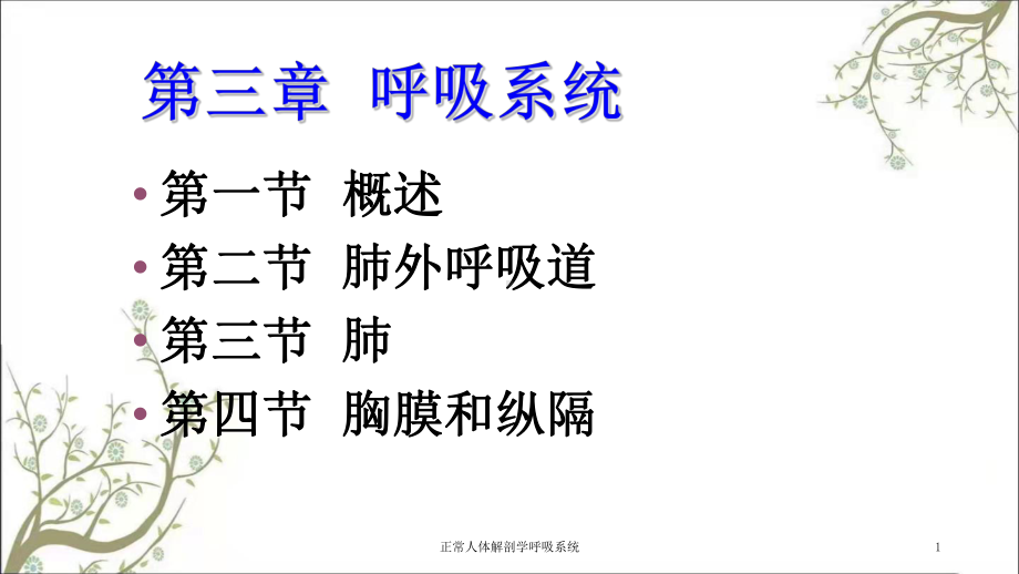 正常人体解剖学呼吸系统课件.ppt_第1页