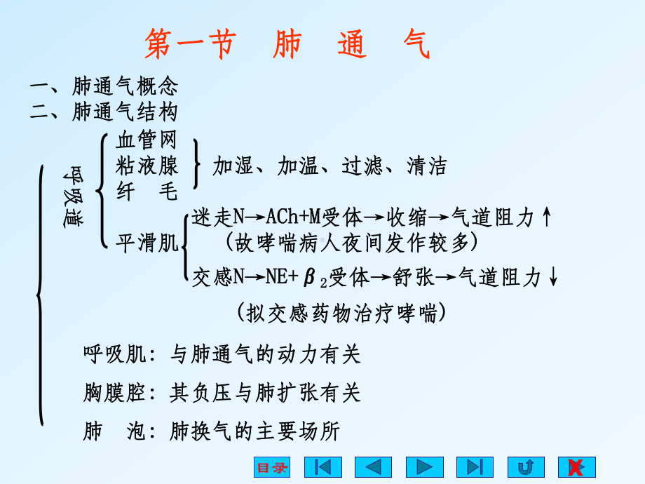 生理学-呼吸系统-自改课件.ppt_第3页