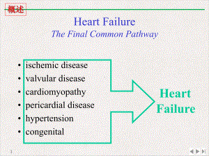病理生理心力衰竭实用版课件.pptx