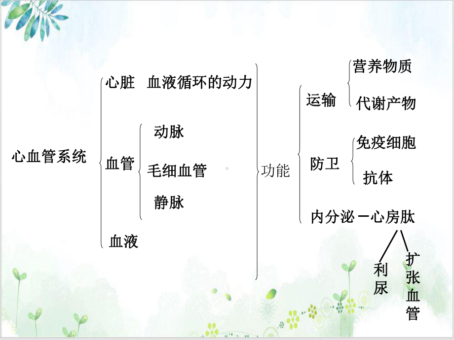 畜禽解剖学心血管系统课件.ppt_第3页