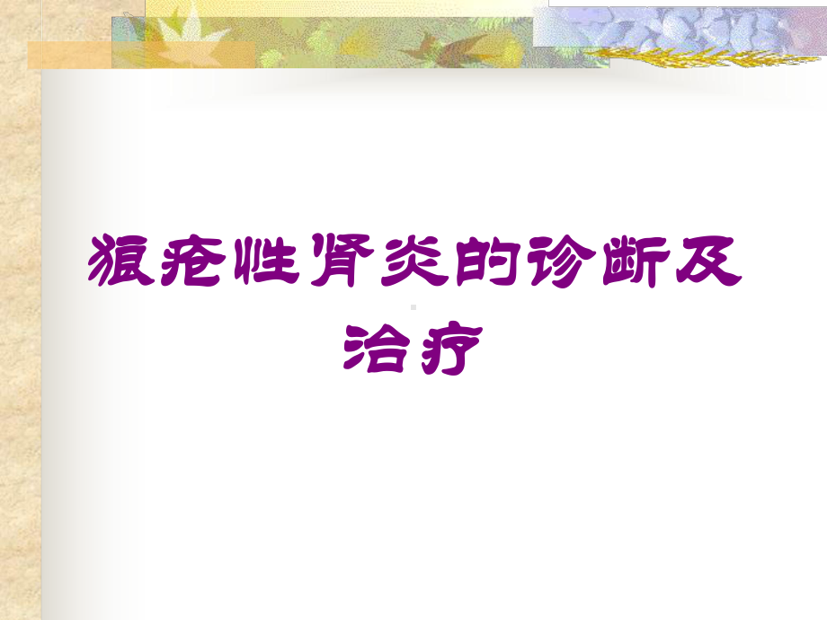 狼疮性肾炎的诊断及治疗培训课件.ppt_第1页