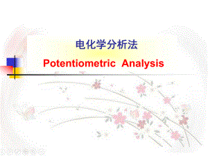 电化学分析法(讲座培训课件).ppt