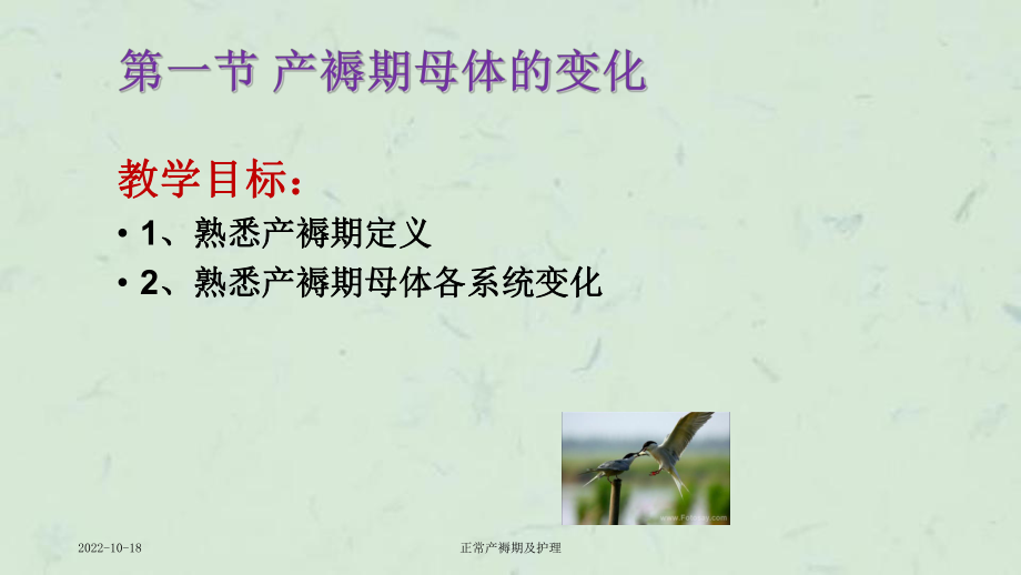 正常产褥期及护理课件.ppt_第3页