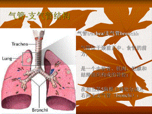 气管炎肺气肿COPD优质版课件.pptx